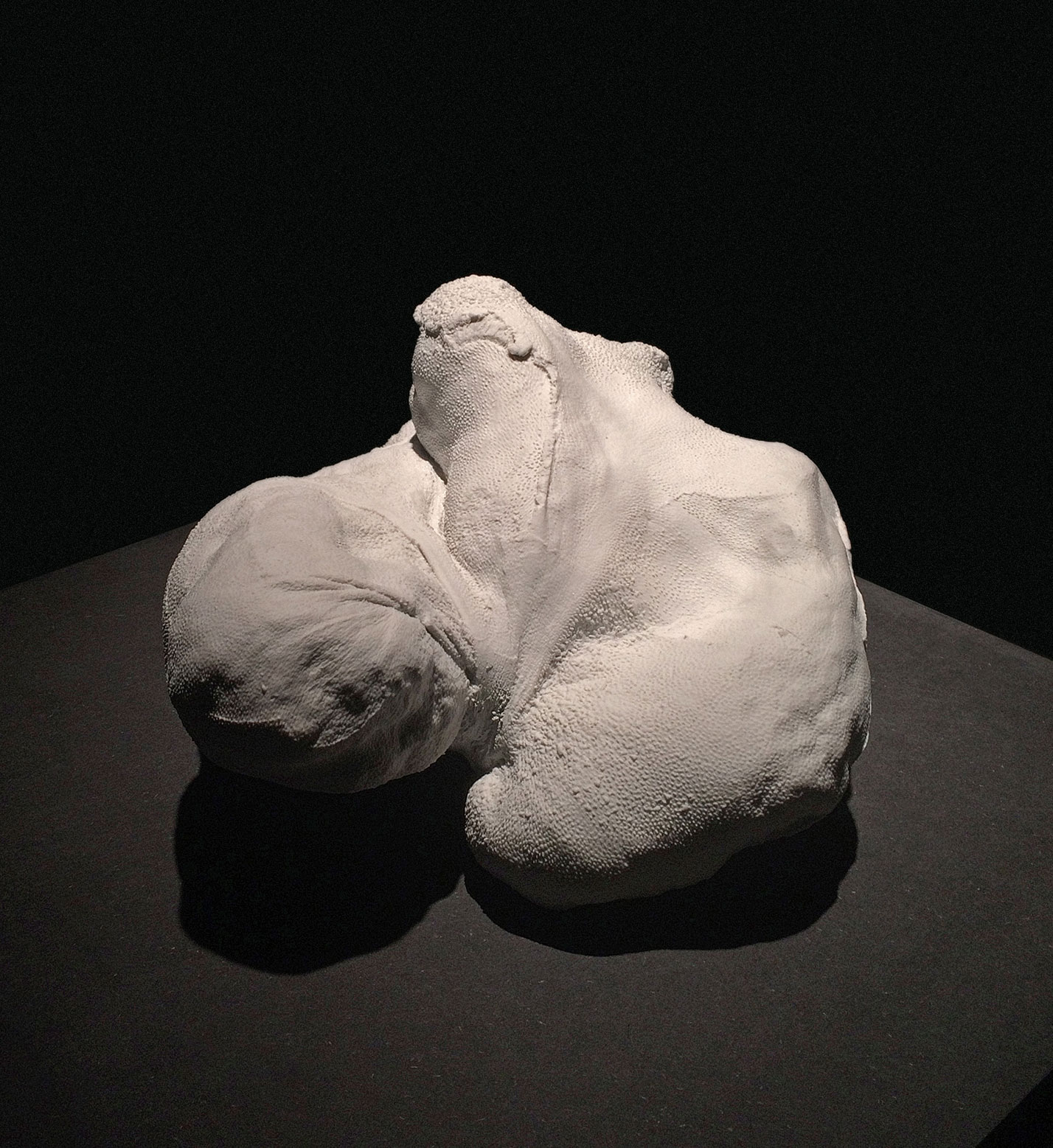 Organe - Porcelaine - 40 x 40 x 25 cm - 2018
