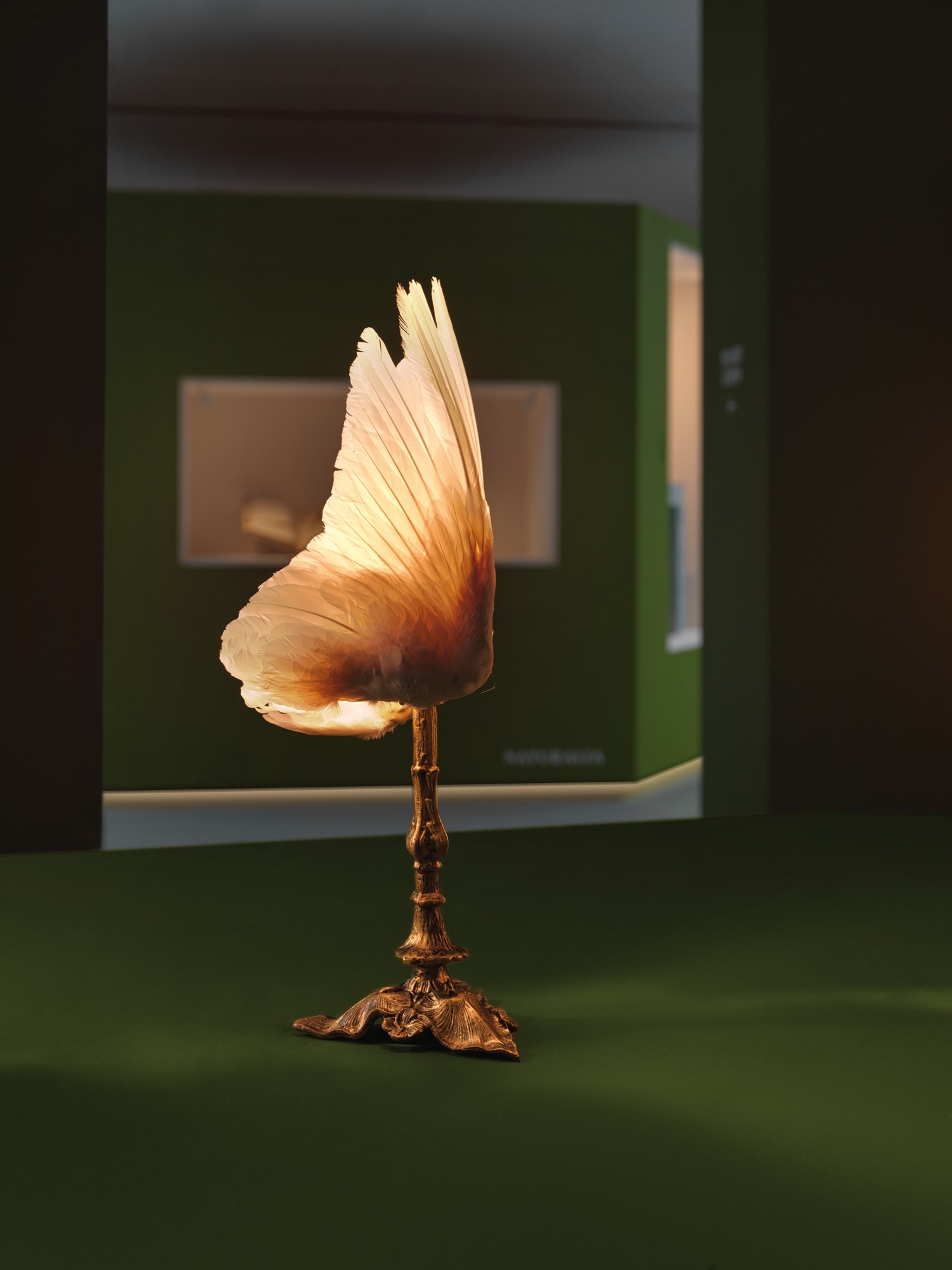 Nora de Rudder - Wings lamp - Photo : Franziska Krieck