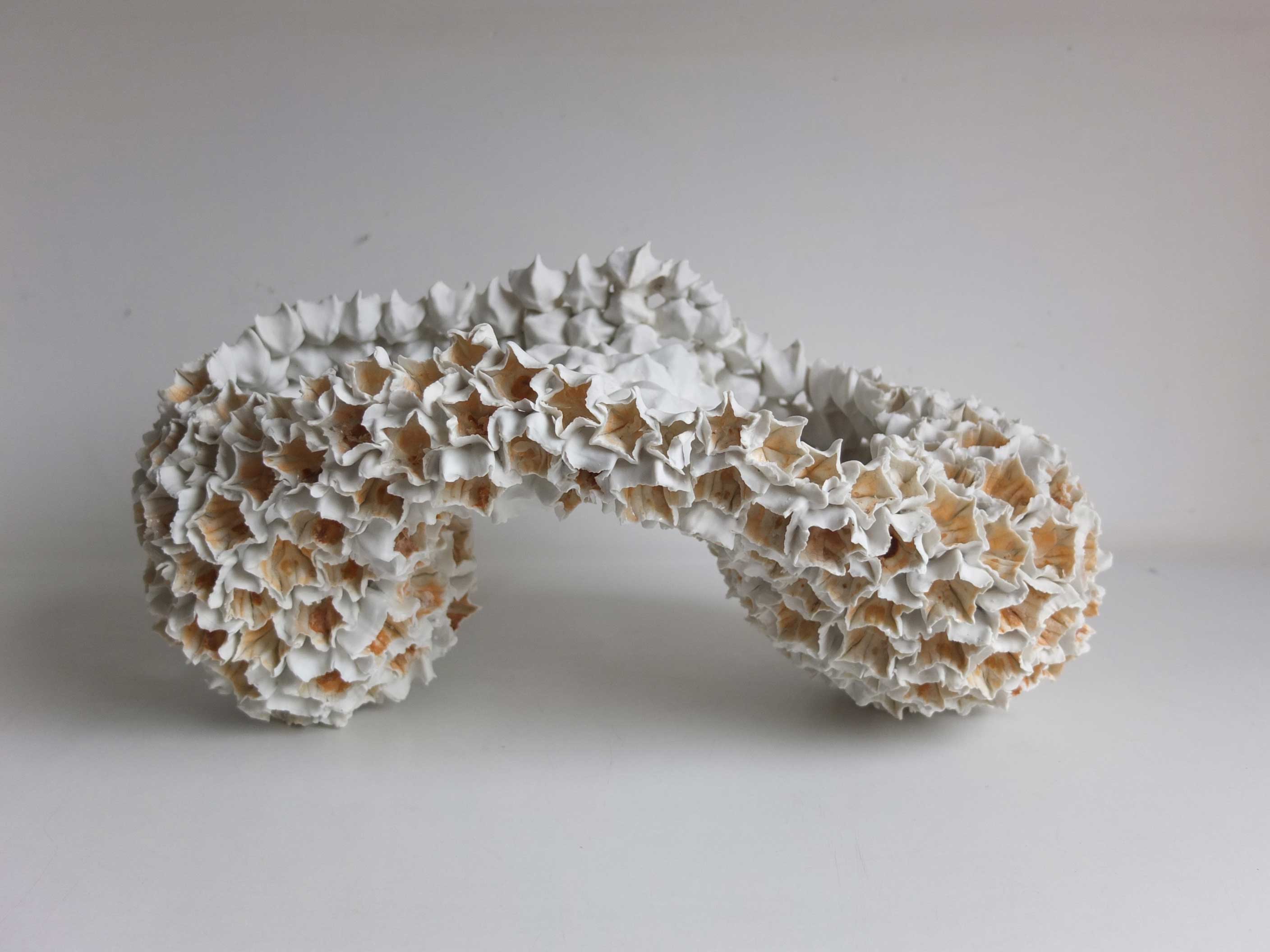 Concrétion - Papier porcelaine - l.45 x H. 25 cm - 2020 - Photo : P. Gruszow