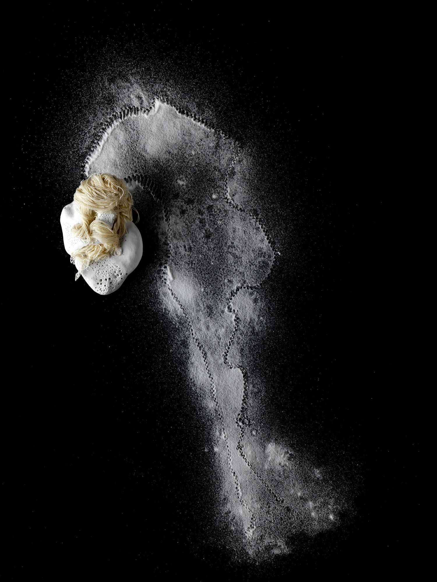 Curiosity #1 - Polystyrène, papier de soie, pâte durcissante, coton à polir, encre de Chine, bicarbonate de soude - 32 x 18 x 3 cm - 2017 - Photo : Yvan Guerdon
