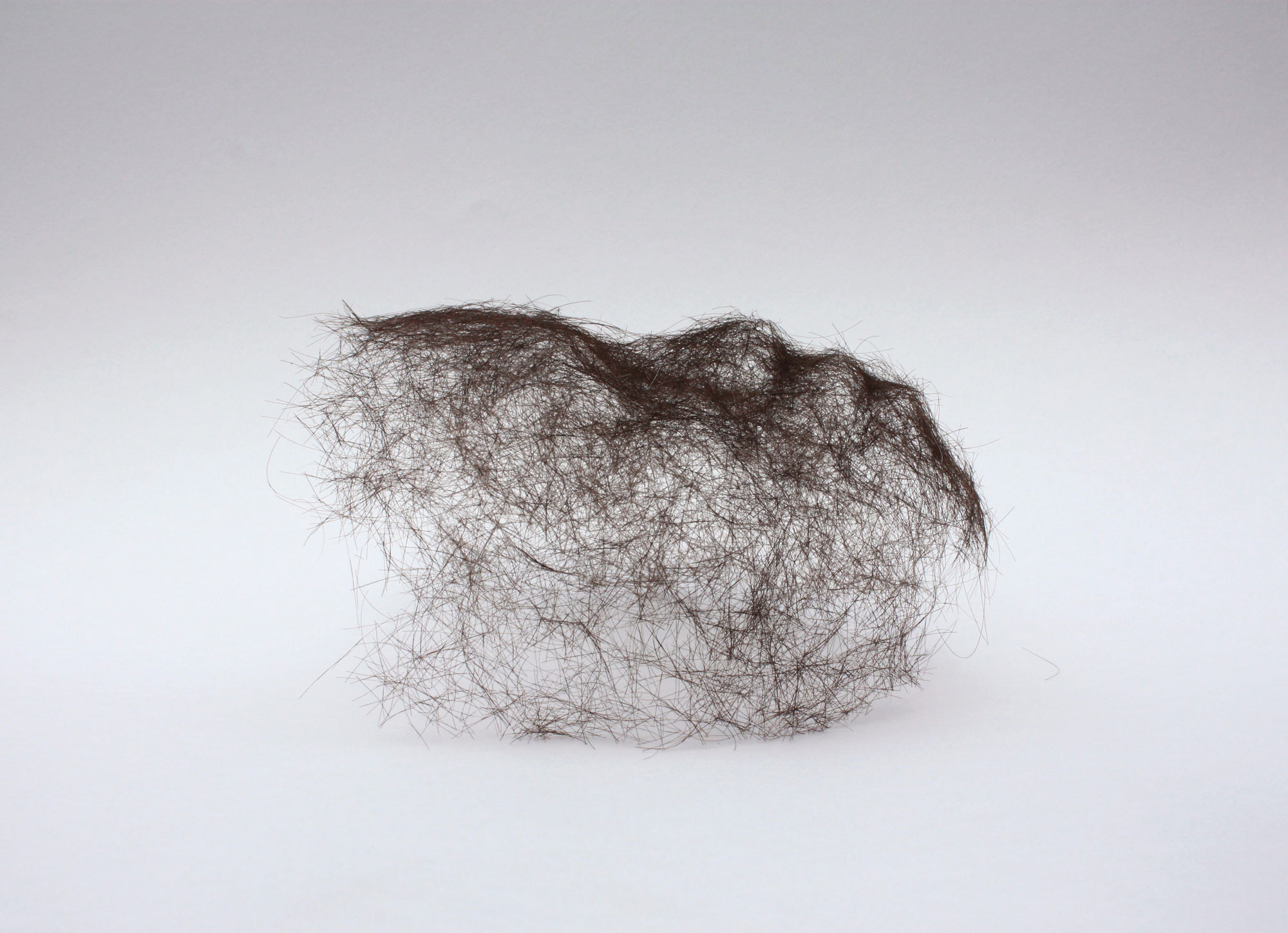 Sans titre (Visage en volume posé sur papier) - Cheveux, papier - Taille réelle - 2010 